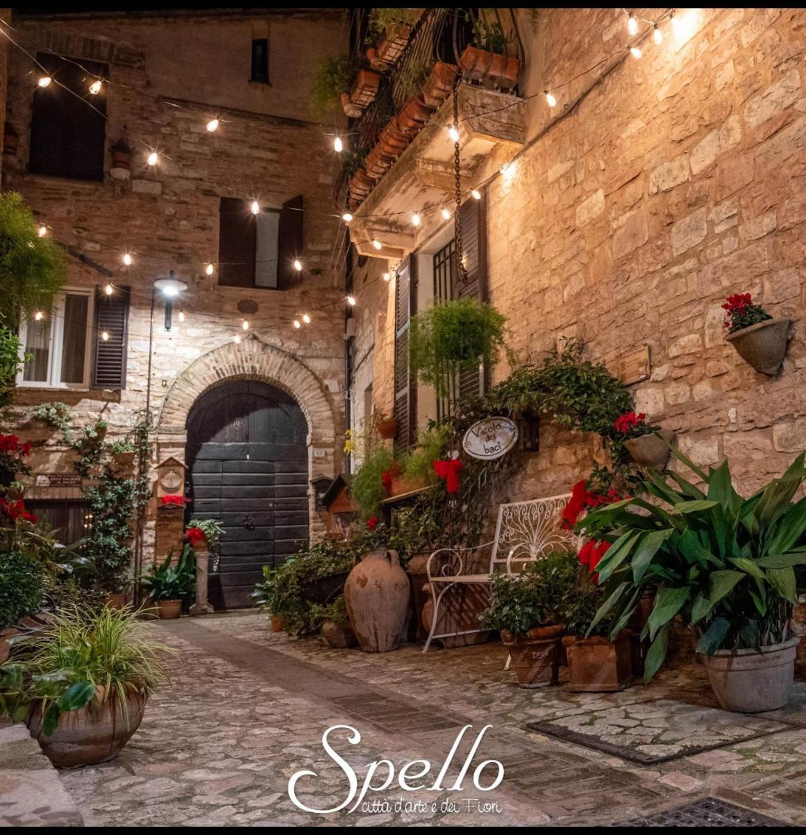Il Sogno Apartment Spello Luaran gambar